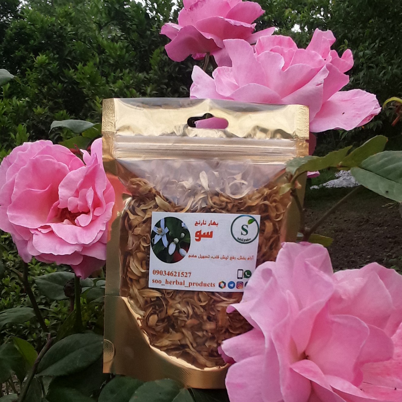 بهار نارنج سو