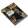 کتاب کتابخانه کلاسیک جین ایر اثر شارلوت برونته نشر محراب قلم