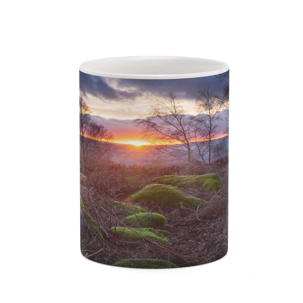 ماگ کاکتی طرح منظره پاییزی مدل mgh18541