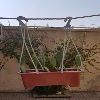 اویز گلدان مدل 2030