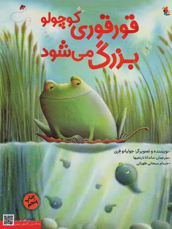 قورقوری کوچولو بزرگ می شود (گلاسه) - ناشربوک | خرید آنلاین کتاب