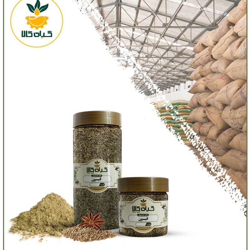 گیاه انیسون، بار امسالی و تازه (1کیلوگرم)