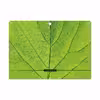 برچسب پوششی ماهوت مدل Leaf-Texture مناسب برای تبلت لنوو Miix 320 2017