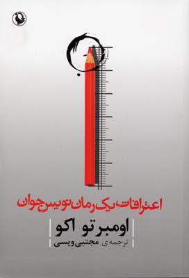 اعترافات یک رمان‌نویس جوان