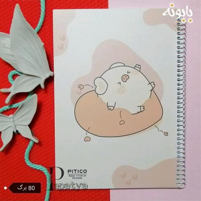 دفتر مشق 80 برگ پیتیگو