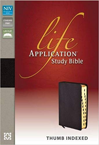 خرید و دانلود نسخه کامل کتاب NIV, Life Application Study Bible, Bonded Leather, Burgundy, Indexed, Red Letter Edition