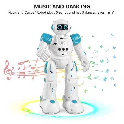 ربات کنترلی مدل R11