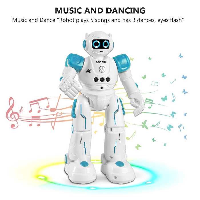 ربات کنترلی مدل R11