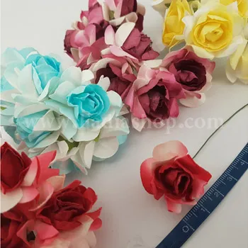 گل رز چروک دورنگ