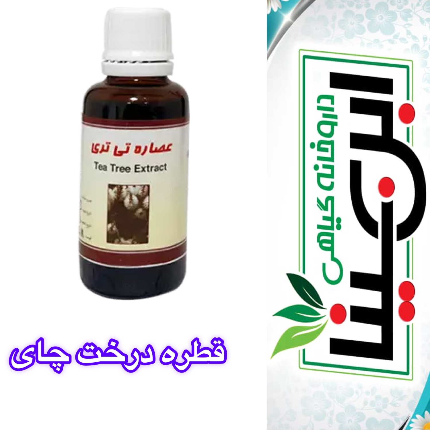 عصاره تی تری(درخت چای) ضد زگیل و جوش و قارچ