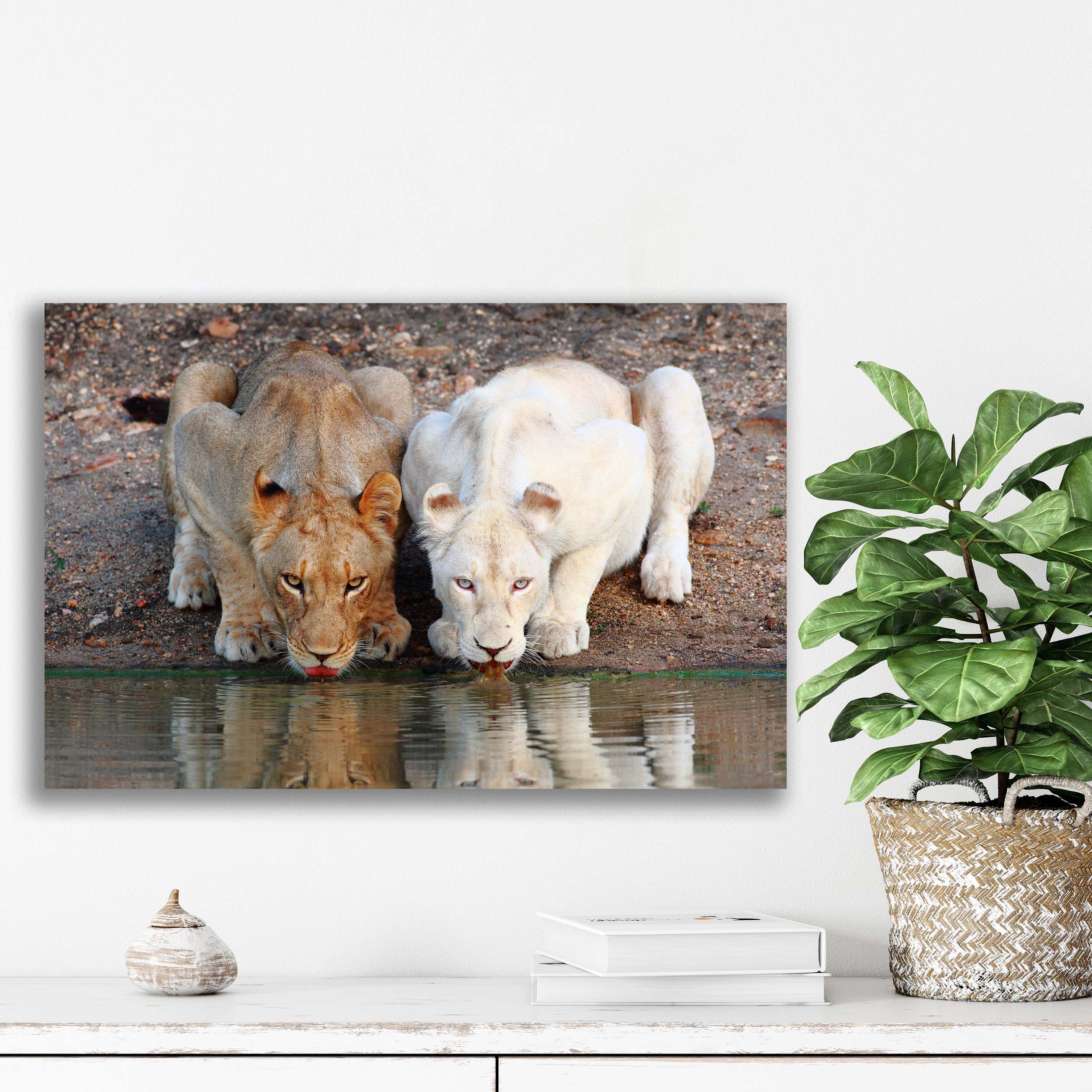 تابلو شاسی آتریسا مدل حیواناتanimal