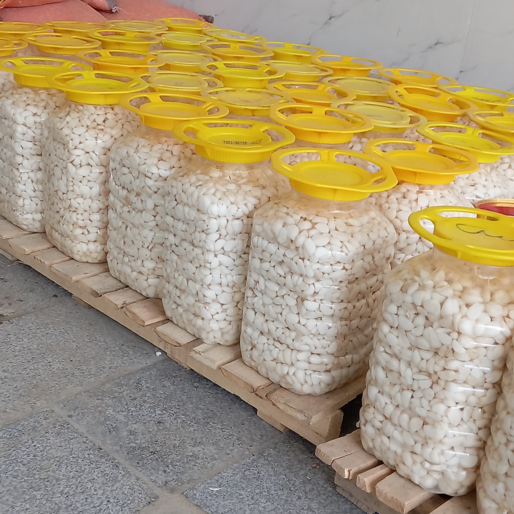  سیر و موسیر یوشیان سیر مروارید دست پوست کن همدانی فروش بصورت عمده وجزئی  اماده همکاری با کارخانجات مواد غذایی و شوریجات