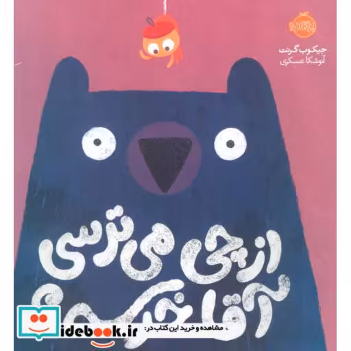 کتاب از چی می ترسی آقا خرسه؟
