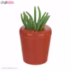چنگال میوه خوری کد 10
