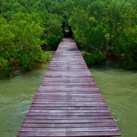 خرید و دانلود عکس Nature-Part-17 کد 35698 | پیک فاکس | Pic Fox