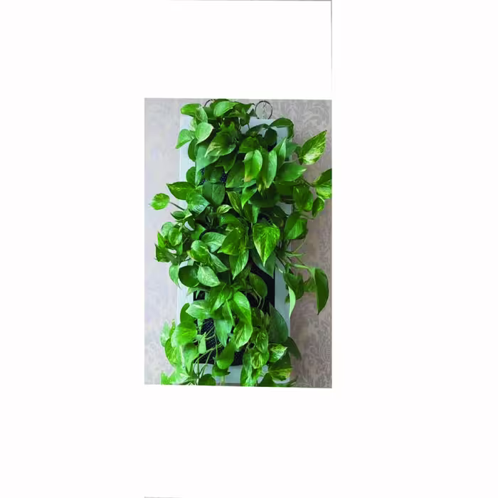 آویز گلدان مدلsf31