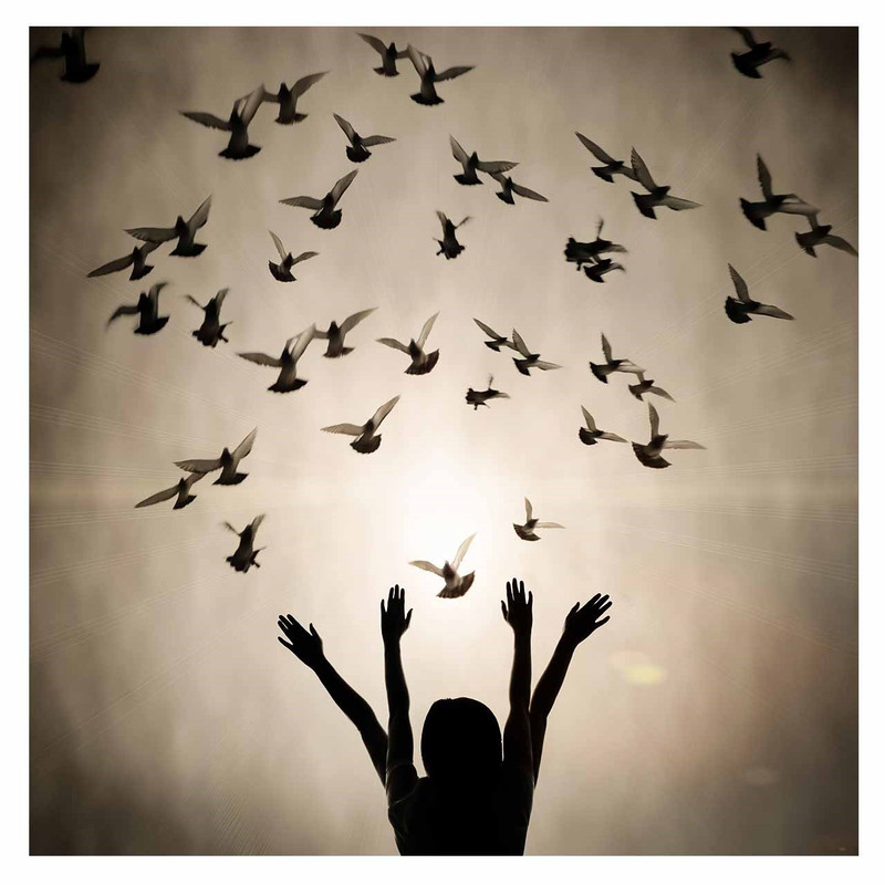 تابلو شاسی لابراتوار سهند طرح 303027 سایز 30x30 سانتی متر | دنیای قاب