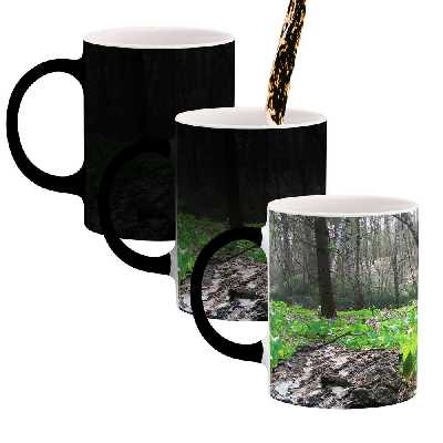 ماگ حرارتی طرح طبیعت مدل mgh03064