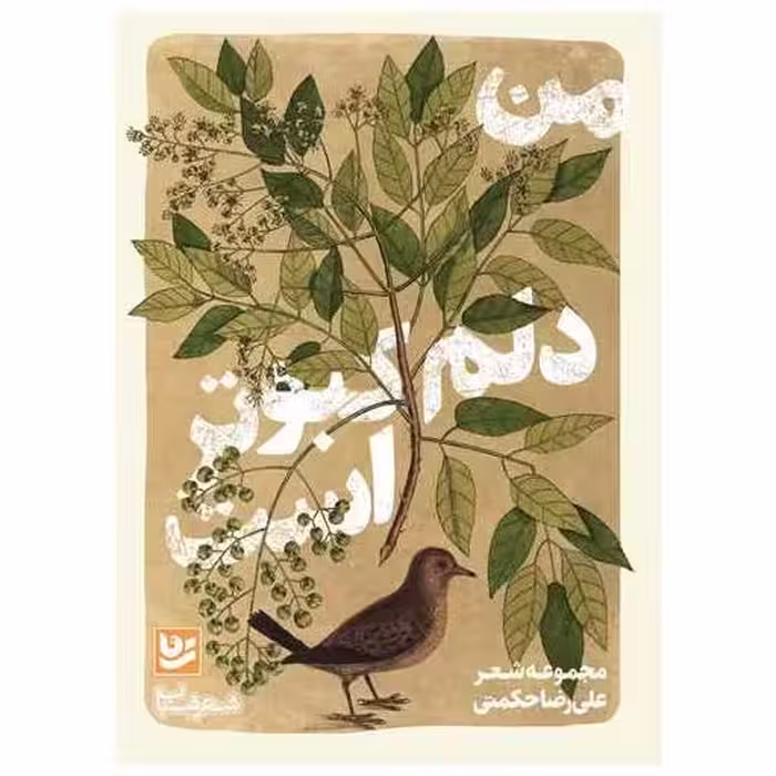 کتاب من دلم کبوتر است اثر علیرضا حکمتی