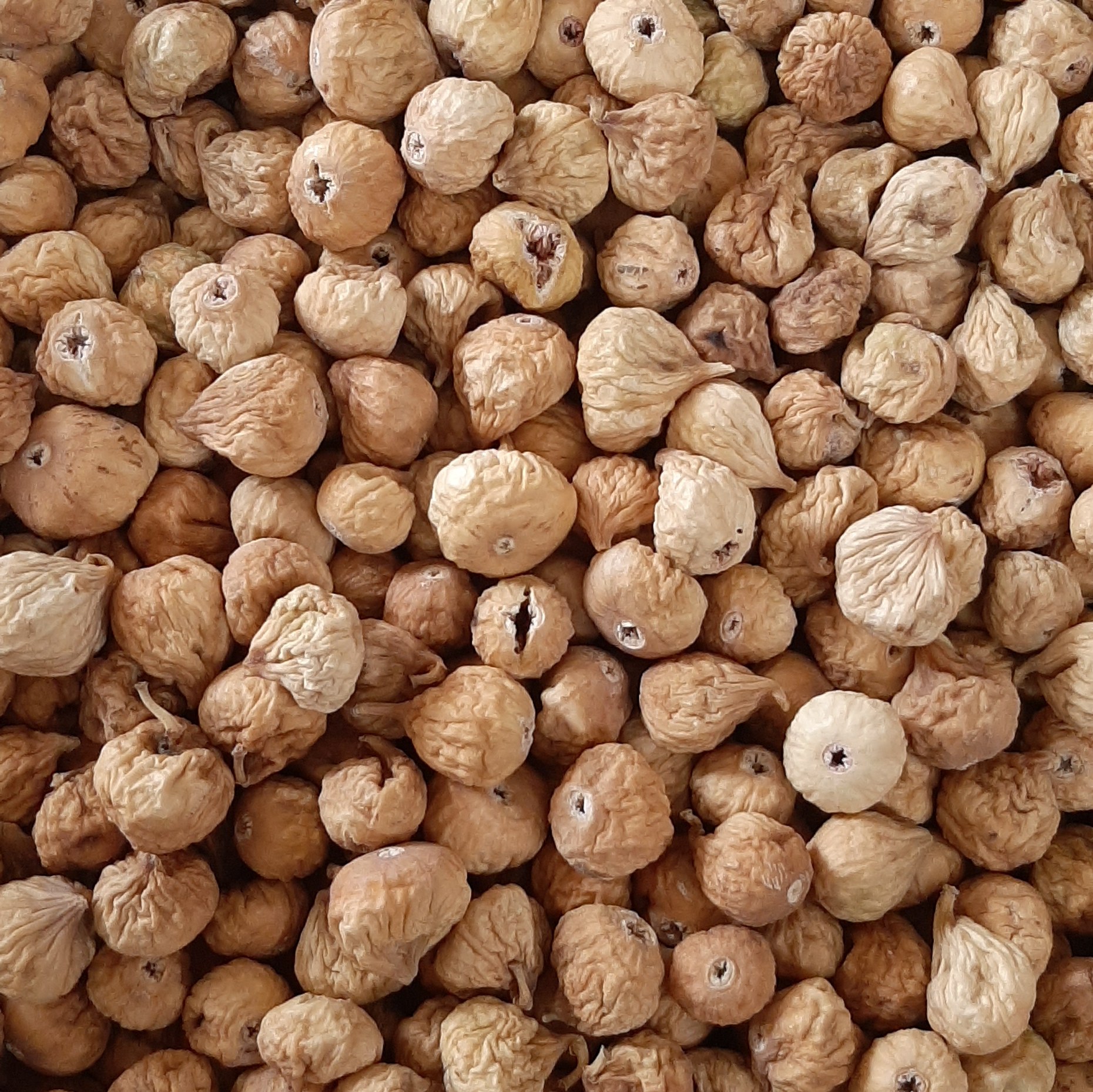 انجیر سایز 3A (درشت ترین) 10 کیلوگرمی 