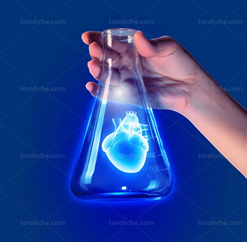 عکس آزمایشگاهی قلب | گرافیک با طعم تربچه