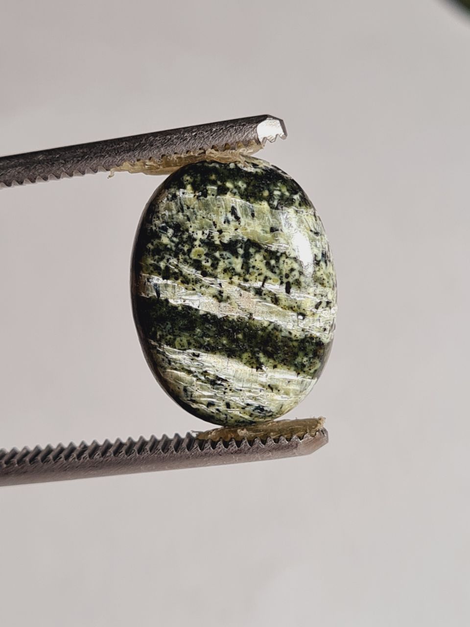 کریزوتیل بیضی اصل 4102