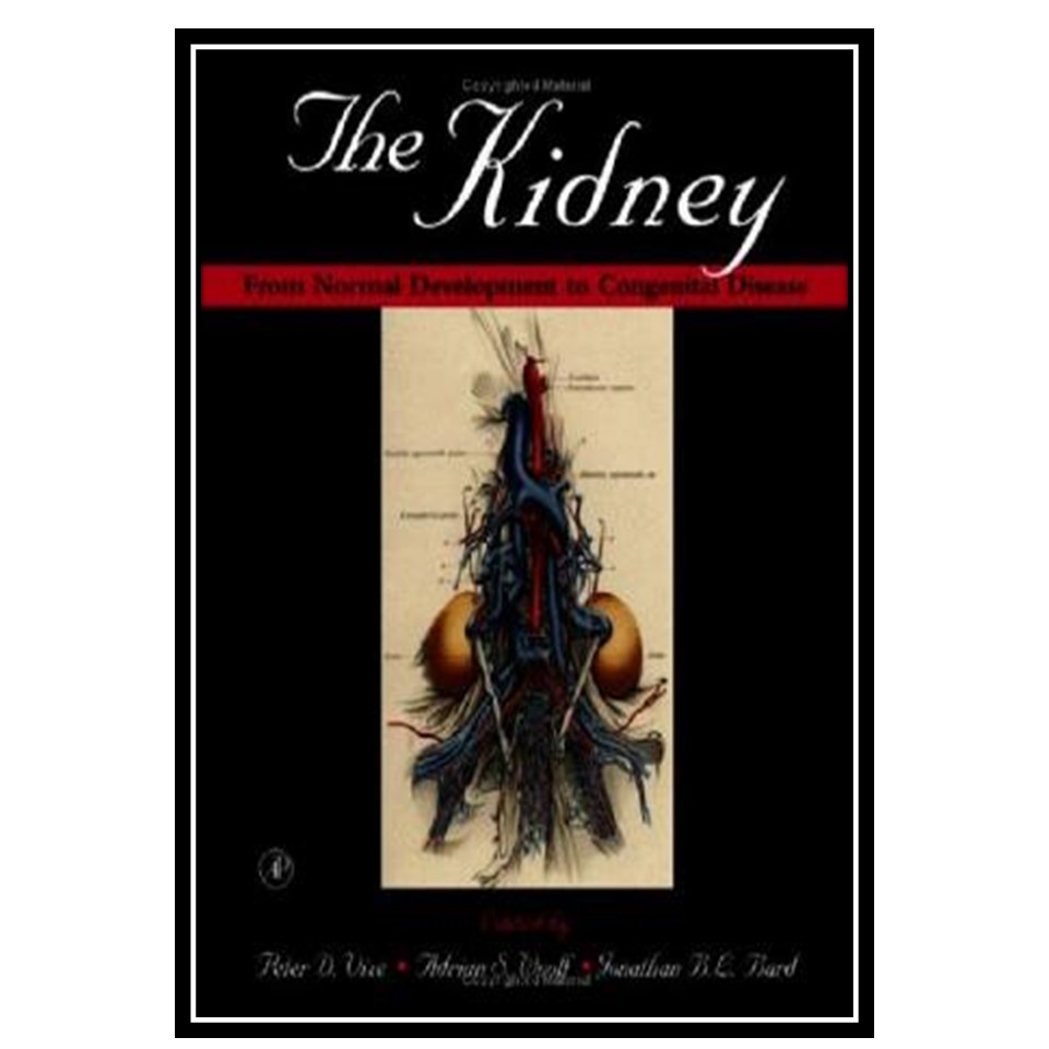 کتاب The Kidney: From Normal Development to Congenital Disease اثر جمعی از نویسندگان انتشارات مؤلفین طلایی