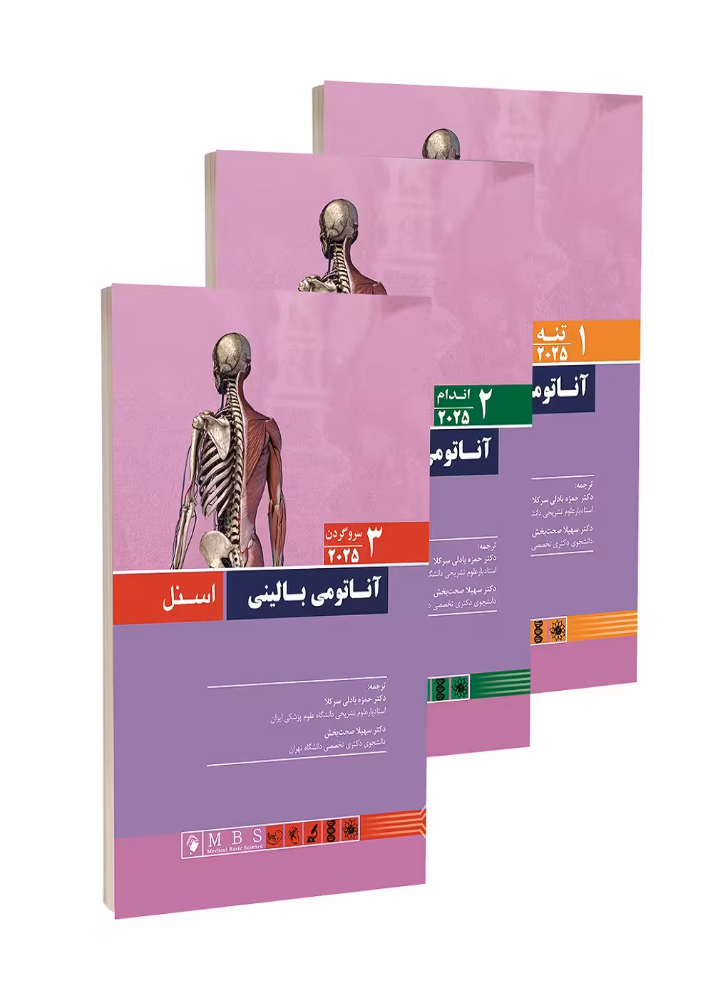 آناتومی بالینی اسنل 2025 سه جلدی اندیشه رفیع با همکاری آرتین طب
