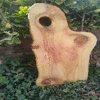 تخته گوشت چوبی | hesamwood