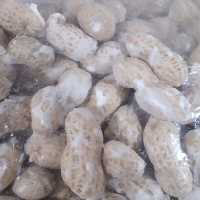 بادام زمینی با پوست چوبی