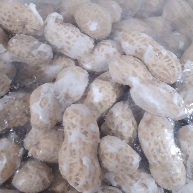 بادام زمینی با پوست چوبی