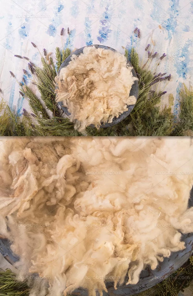 بکگراند عکاسی نوزاد | گرافیک با طعم تربچه