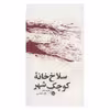 کتاب سلاخ خانه کوچک شهر اثر هارولدشکتر نشر خوب