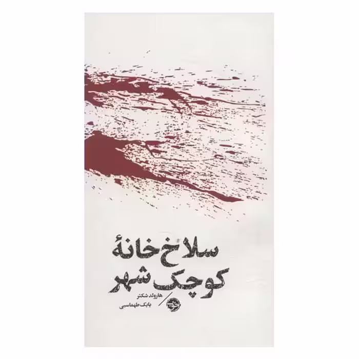 کتاب سلاخ خانه کوچک شهر اثر هارولدشکتر نشر خوب