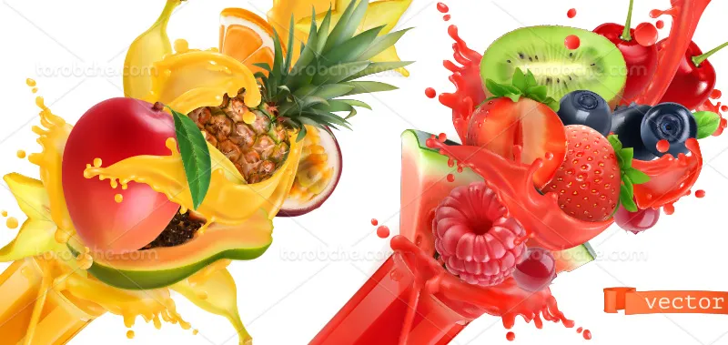 وکتور اسپلش انواع میوه تازه | گرافیک با طعم تربچه