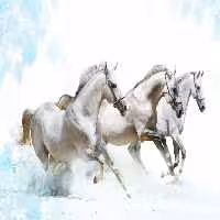 خرید و دانلود عکس IranBCS کد 29284 | پیک فاکس | Pic Fox