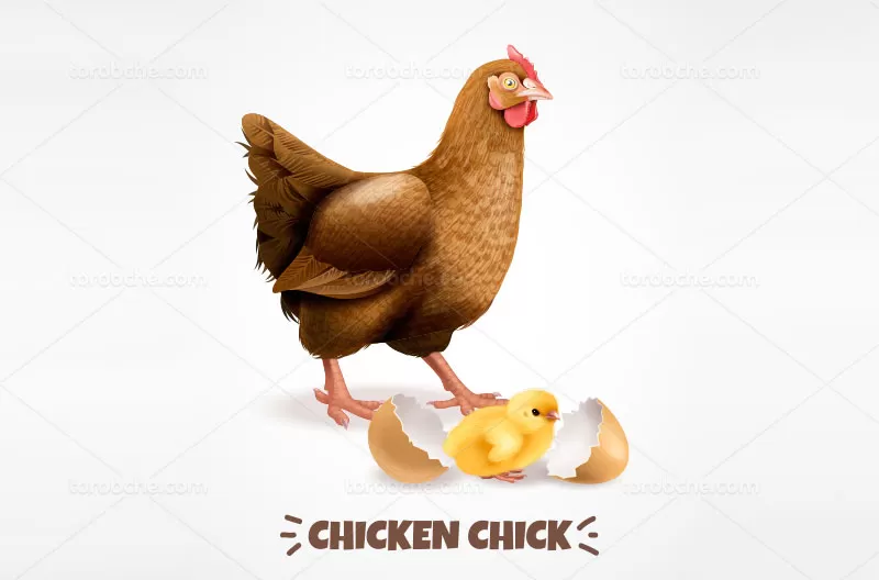 وکتور لوگو مرغ | گرافیک با طعم تربچه