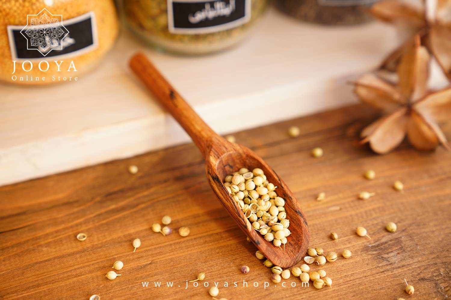 قاشق ادویه سوک متوسط مدل دو