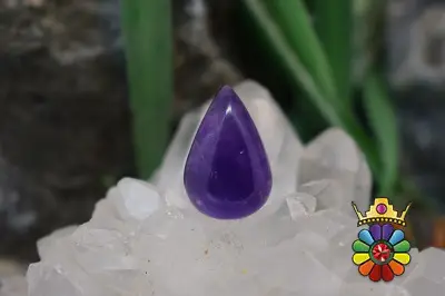 امتیست دامله(کاپوشی)