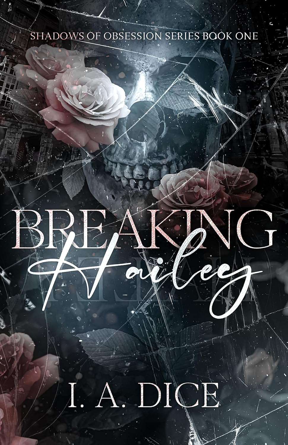 Breaking Hailey (Shadows of Obsession Book 1)