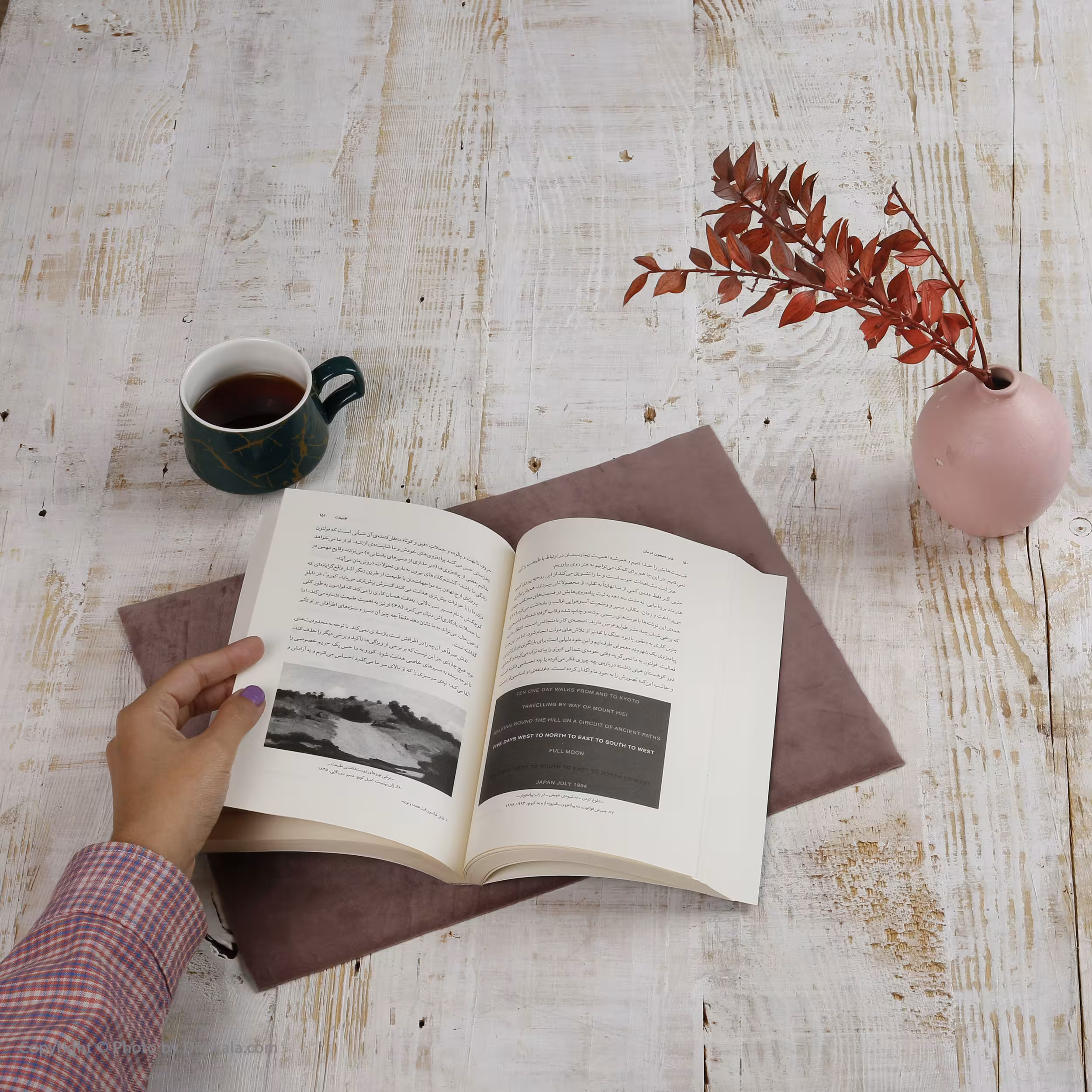 کتاب هنر همچون درمان اثر آلن دو باتن نشر چشمه