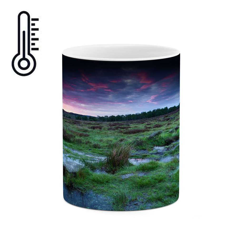 ماگ حرارتی کاکتی طرح منظره مدل mgh15700