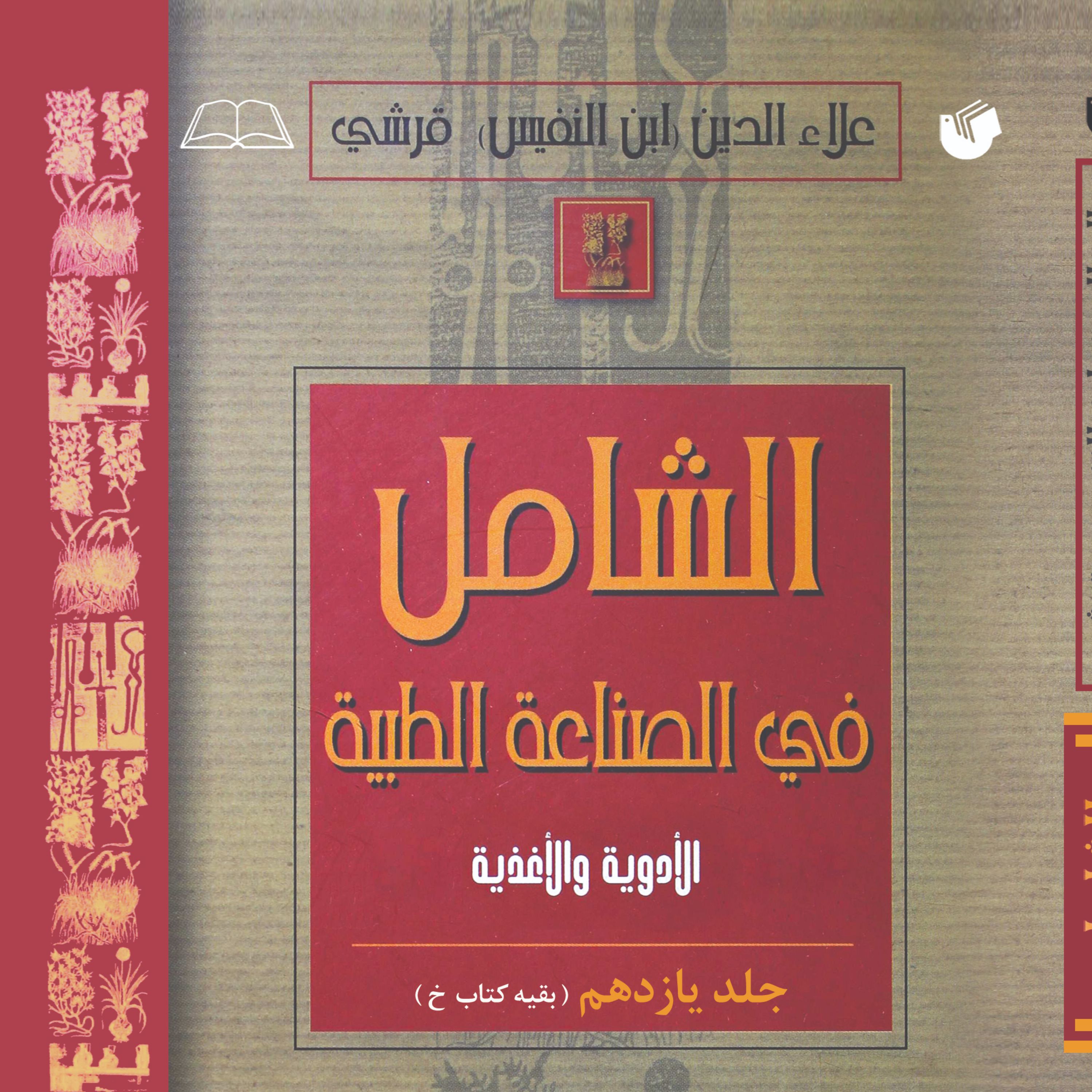 الشامل فی الصناعه الطبیه جلد 11
