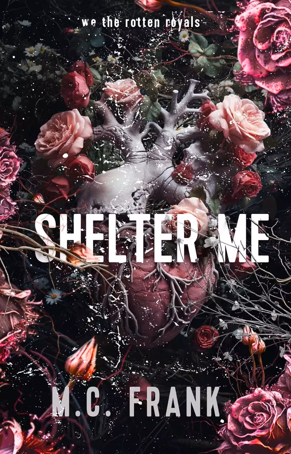 Shelter Me (Lose Me Book 3)