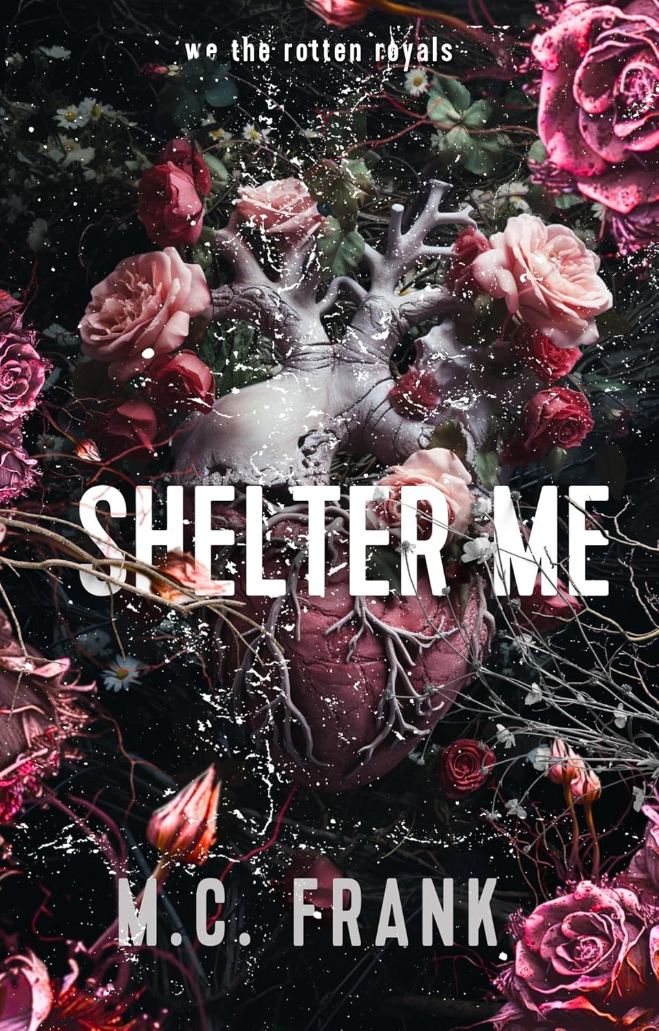 Shelter Me (Lose Me Book 3)