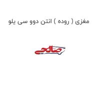 مغزی ( روده ) انتن دوو سی یلو