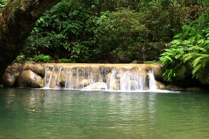 خرید و دانلود عکس Nature-Part-31 کد 36852 | پیک فاکس | Pic Fox