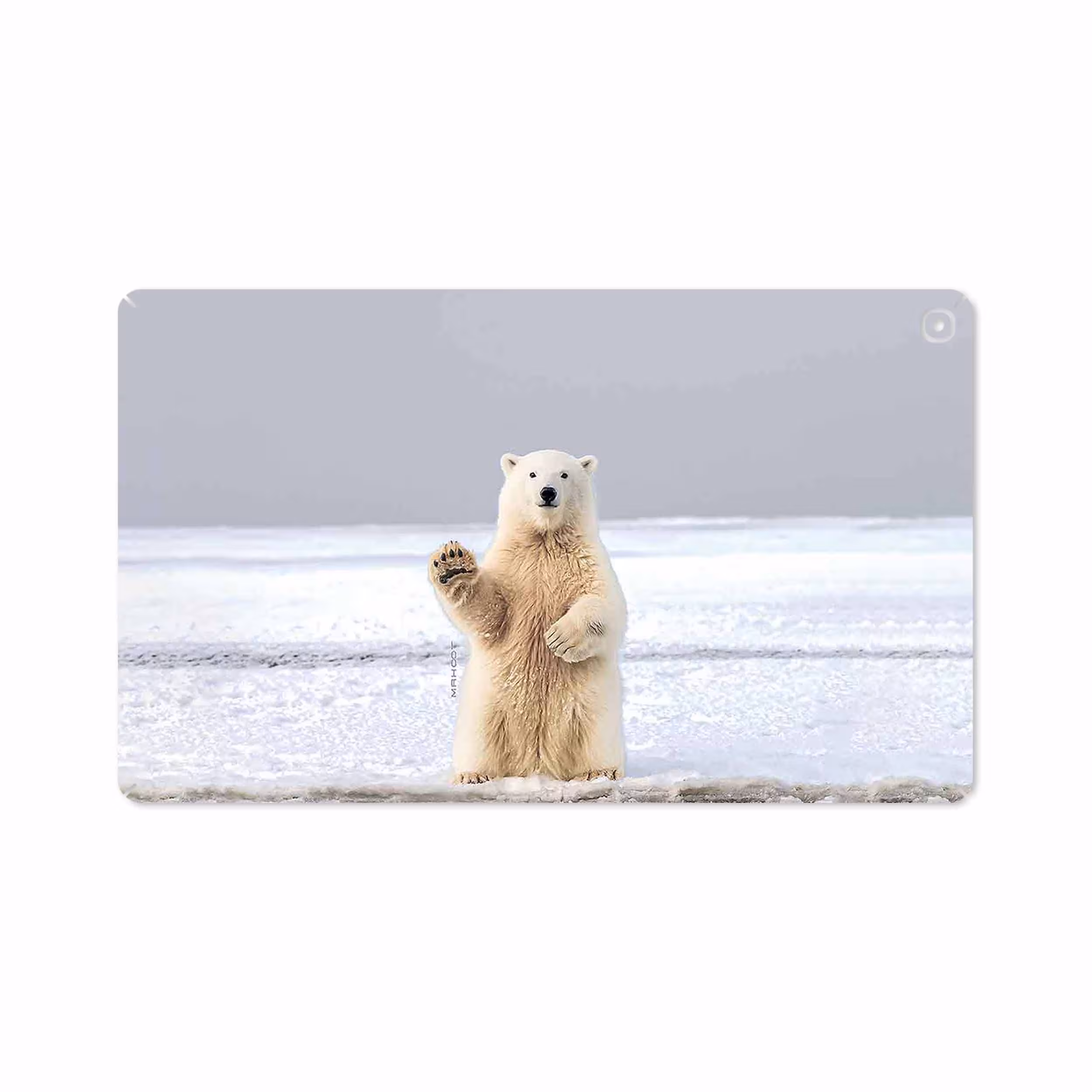 برچسب پوششی ماهوت مدل Polar bear مناسب برای تبلت سامسونگ Galaxy Tab A 10.1 2019 T515