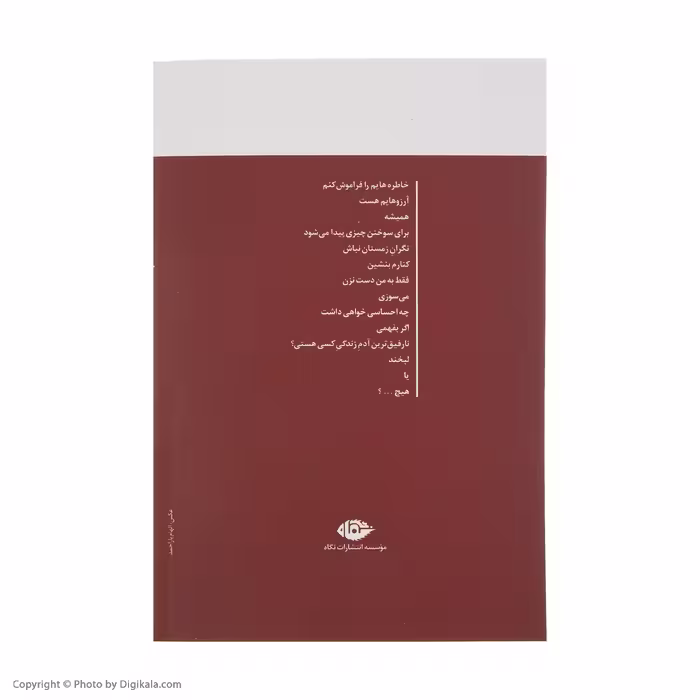 کتاب خاطره هایم را فراموش کنم آرزوهایم هست اثر افشین یداللهی نشر نگاه