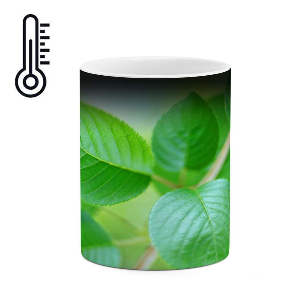 ماگ حرارتی طرح برگ مدل mgh12203